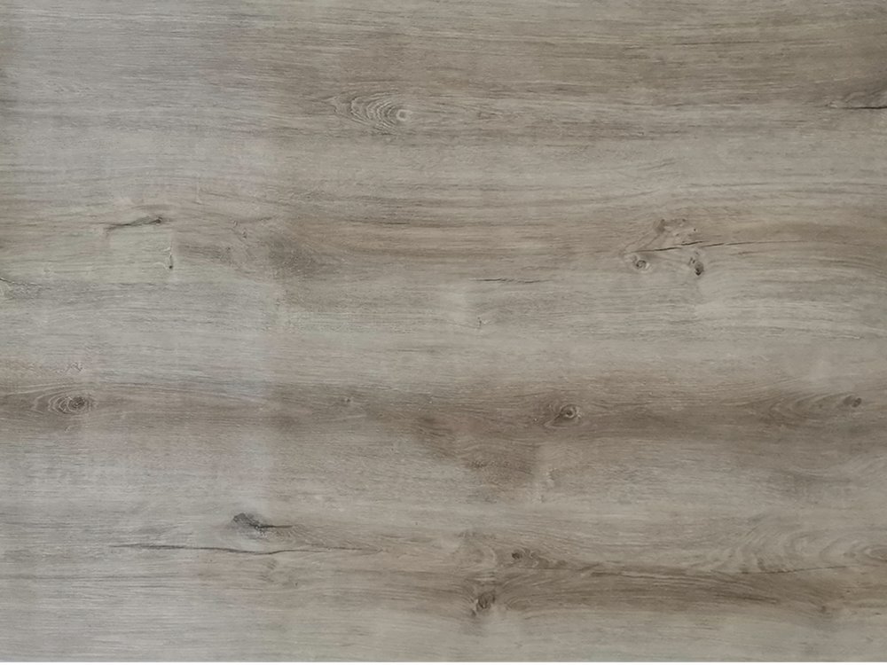 Mongolian Oak